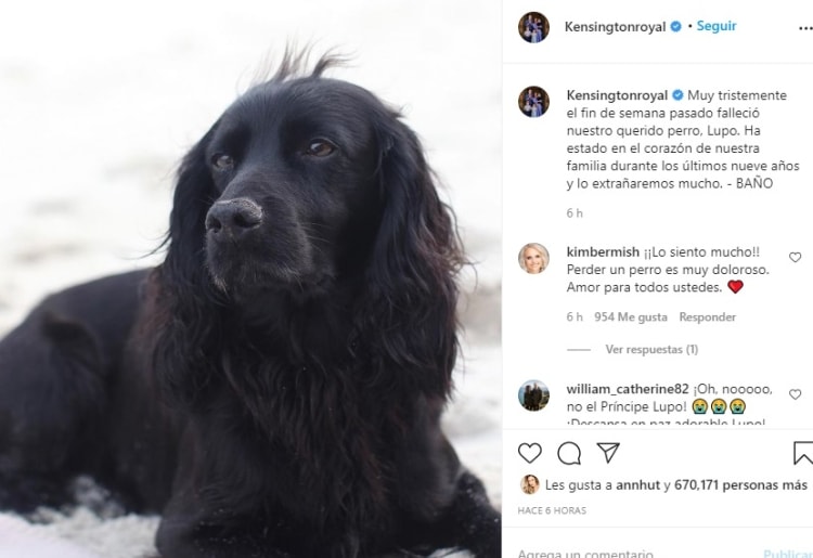 Prince william death dog 2