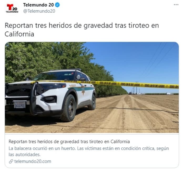 California Vineyard Shooting 4