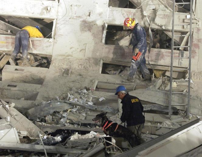 Rescuers with a dog search for survivors in the ruins of the World Trade Center in New York on September 12, 2001.