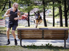 What will it take to get more Canadians moving?  David Ross makes Bear jump over park benches for a workout at Lafontaine Park.