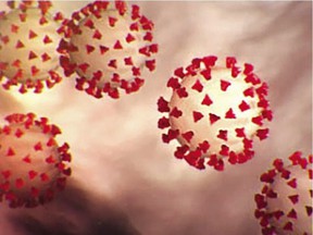 An illustration of the new coronavirus known as COVID-19.