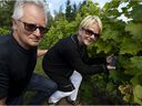 Serge Primi, left, and Christiane St-Onge are the owners of Vignoble Cote de Vaudreuil, located off the island.
