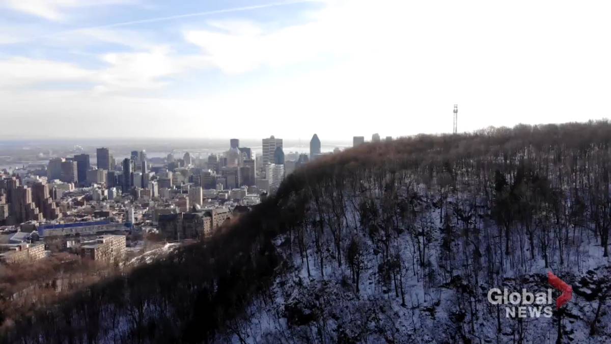 Click to play video: 'Montreal mayoral race heats up to preserve the view of Mount Royal'