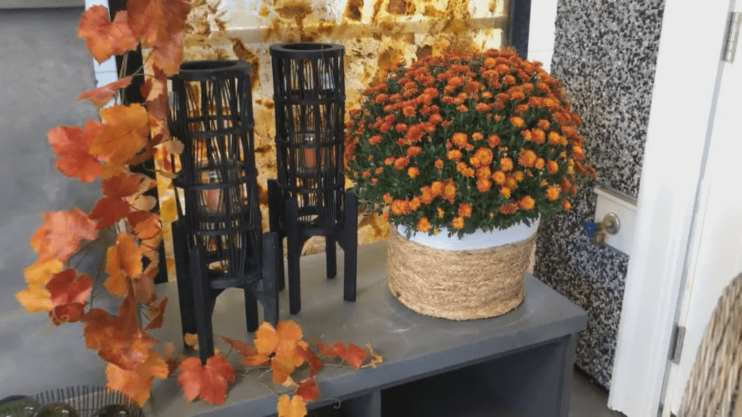 Click to play video: 'GardenWorks: Fall decor'