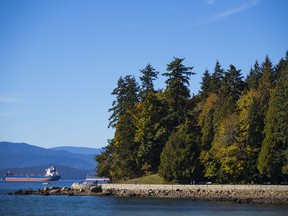 VANCOUVER, BC.  weather autumn shot .. (Francis Georgian / PNG). September 28, 2018., Vancouver, September 28, 2018. Reporter :, (Francis Georgian / PNG Staff Photo) (Prov / Sun News) 00054790A [PNG Merlin Archive]