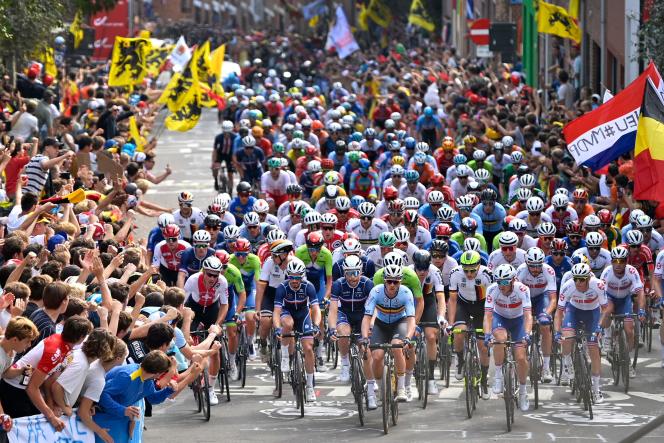 The peloton on the rise of Wijnpers during the road cycling world championships road race between Antwerp and Leuven, Flanders on September 26.