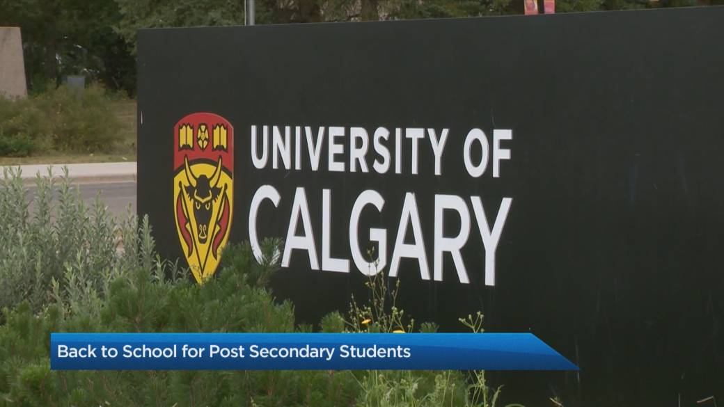 Click to play video: 'Pandemic Plans for University of Calgary Students Fall 2021'