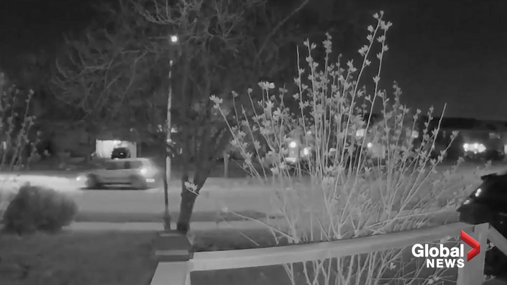 Click to play video: 'Waterloo Police Releases Video After Kitchener Shooting'