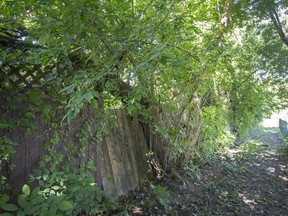 A heavily overgrown and neglected alley between Bridge and Partington avenues, south of University Avenue West, is seen on Tuesday, Sept. 28, 2021.