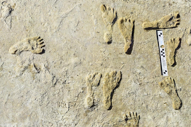 Fossilized human footprints in rock in White Sands National Park, New Mexico.