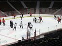 The Ottawa Senators prospects begin the NHL team's development camp on Saturday at the Canadian Tire Center ice.