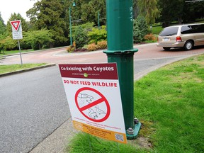 Visitors are warned about any notion of feeding wildlife in general, and coyotes in particular, in Stanley Park on Wednesday.