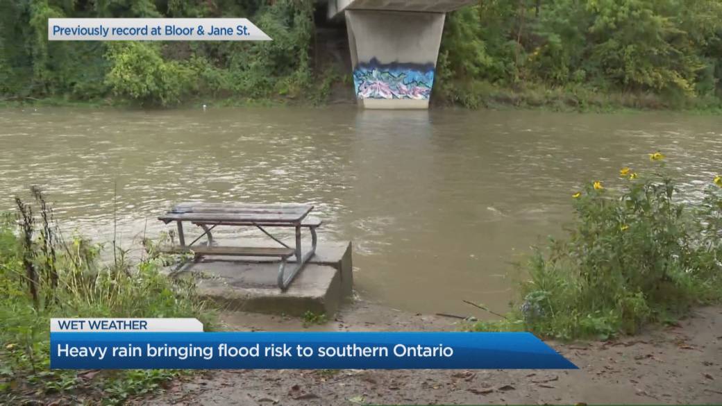 Click to Play Video: 'Steady Rain in Southern Ontario Raises Warnings'