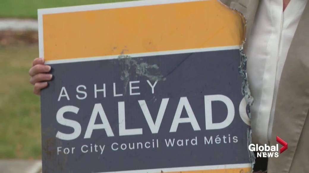 Click to Play Video: 'Edmonton Election Signs Vandalized as Campaigns Increase'