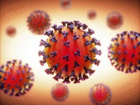 COVID-19 coronavirus infections virus