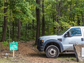 One of the goals of the Dora Wasserman Forest Project is to ask visitors to stay on the trails to minimize forest erosion.
