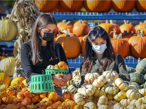 Catheryn Felton, left, and Stephanie Sidoti shop for pumpkins at the Conrad Pitre & Fils kiosk at Atwater Market in Montreal on Wednesday, Oct. 6, 2021.