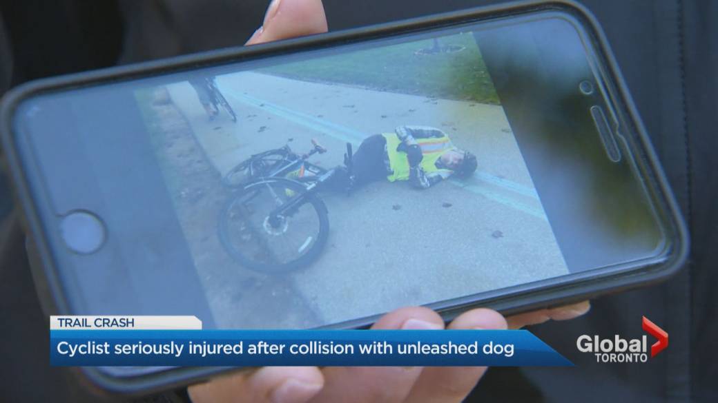 Click to play video: 'Cyclist seriously injured in collision with unleashed dog in Toronto'