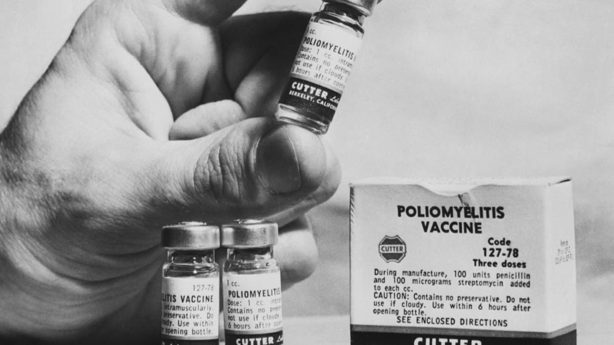 Click to play video: 'COVID-19 Parallels: Polio Disaster Helped Shape Vaccine Safety in the 1950s'