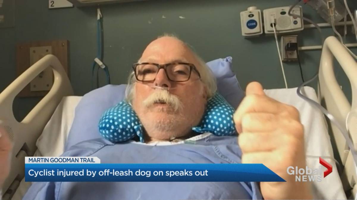 Click to play video: 'Injured Cyclist After Collision With Off-Leash Dog In Toronto Speaks Out'