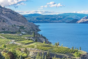 At 120 kilometers long and up to 230 meters deep, Okanagan Lake near Summerland, BC, is vast enough to hide a creature as elusive as the Ogopogo.