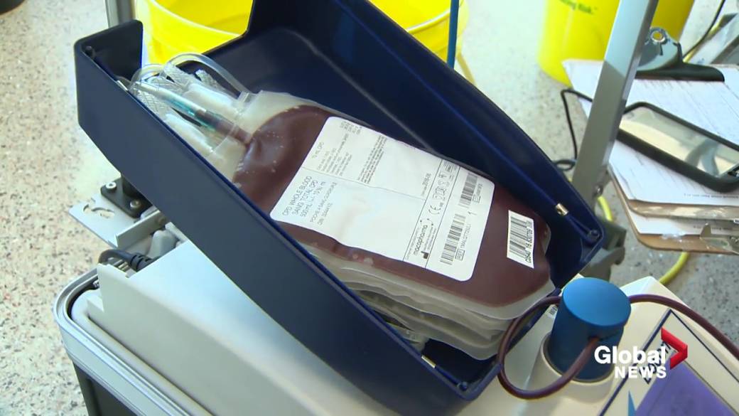 Click to play video: 'Paying for Blood and Plasma in Alberta?  The bill passed in the legislature would allow it '