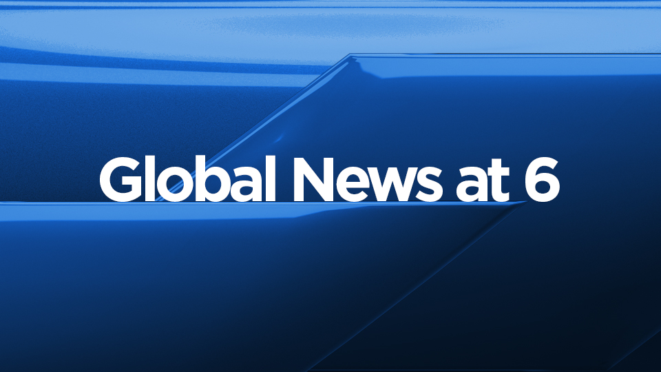 Click to play video: 'Animal Rights Activist Gives Water to Pigs Being Transported on Manitoba Highway'