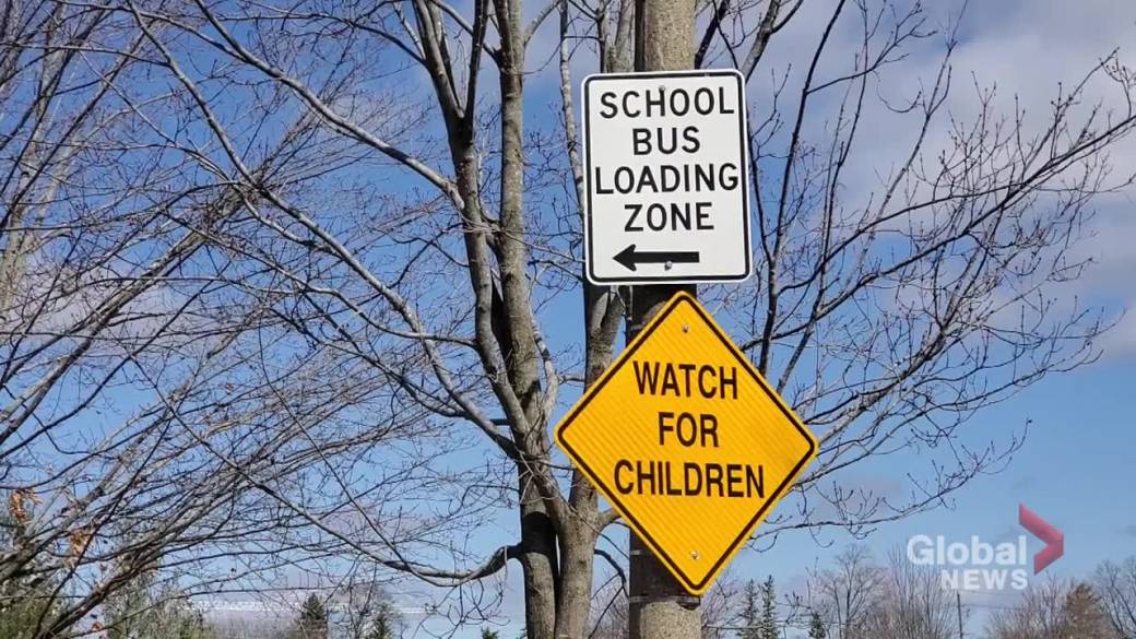Click to play video: 'OPP and Student Transportation Services Report Increase in Illegal Passing of School Buses'