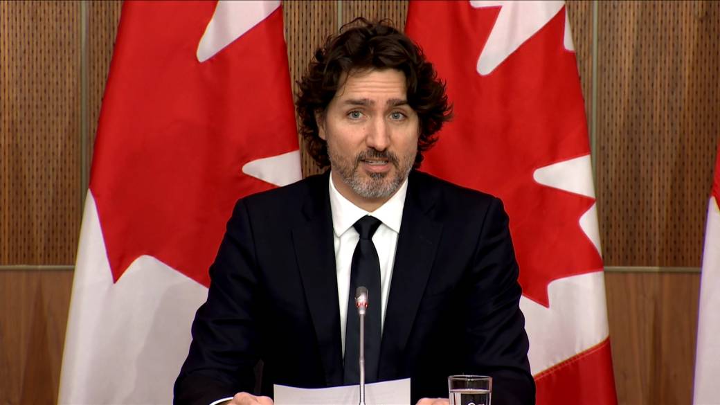 Click to play video: 'Trudeau Reveals Assault Style Weapon Buyback Program Details'