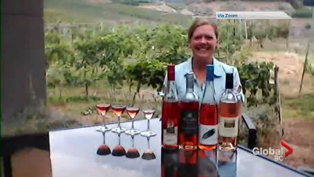 Click to play video: 'Saturday Sips: Rosés for all types of wine drinker'