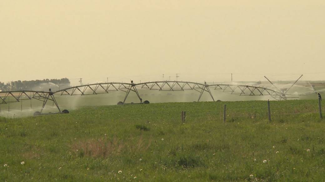 Click to play video: 'Alberta hopes to attract investment by financing irrigation projects'