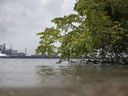 The Detroit River is shown from Ojibway Shores, Tuesday, Aug. 7, 2018.