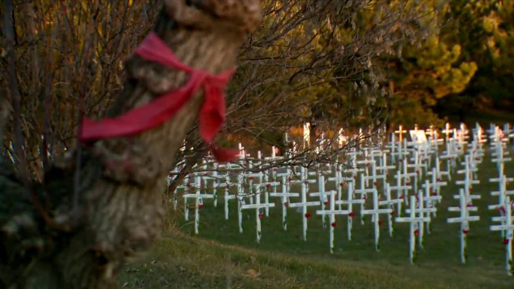 Click to Play Video: 'MMIWG Tapes Dumped in Calgary's Field of Crosses House Park'