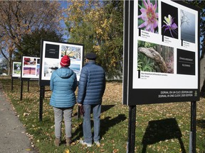 Svitlana and Vladimir Koretsky take a closer look at the outdoor photo display in the Peace Park Arboretum adjacent to the Dorval Library.
