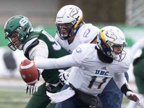 UBC Thunderbirds freshman quarterback Garrett Rooker avoids a University of Saskatchewan lineman on Saturday in their Western Canada semifinal game.