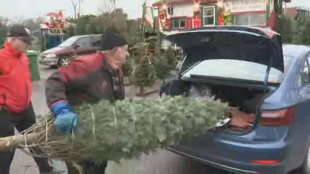 Click to Play Video: 'Christmas Tree Sales Rise As People Lift Up From The Pandemic'