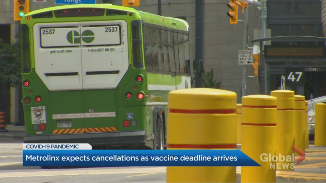Click to Play Video: 'Metrolinx Loses Bus Routes Due to COVID-19 Vaccine Mandate'
