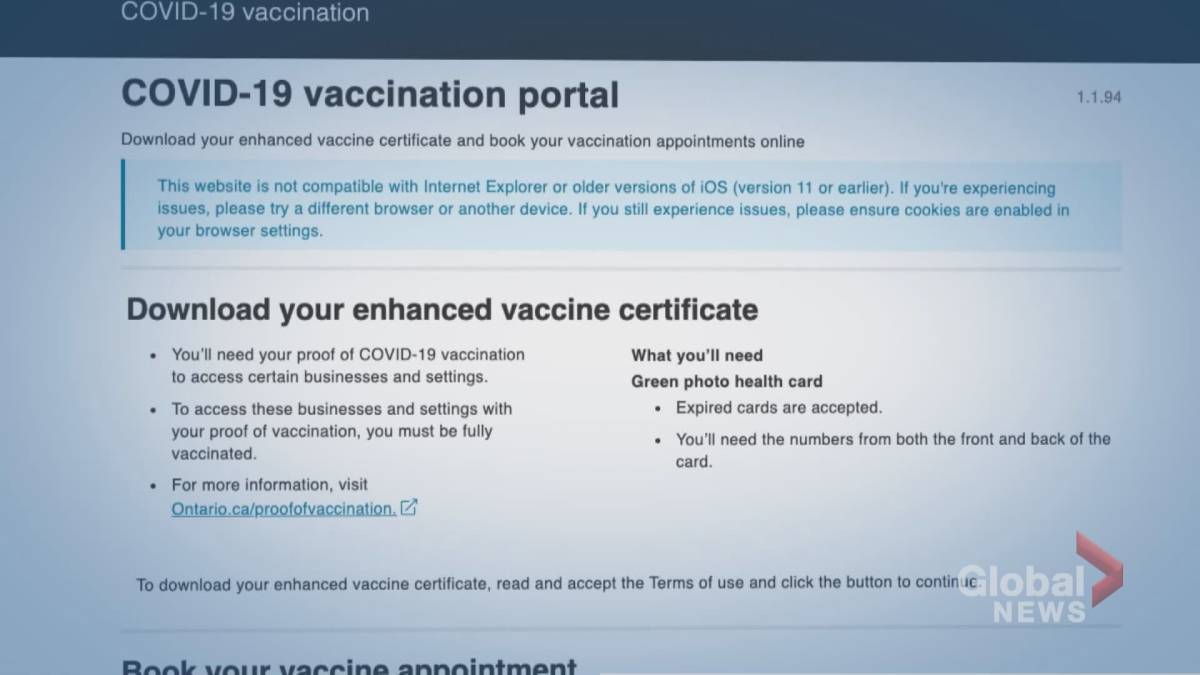 Click to play video: 'OPP makes two arrests in' violation of immunization system '