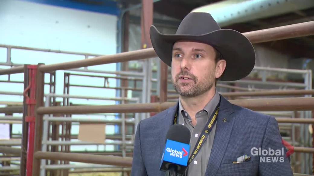 Click to play video: 'Setup underway for Agribition's return next week in Regina'