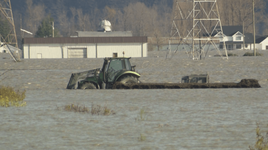 Click to play video: 'How BC's Floods Are Affecting Farmers'