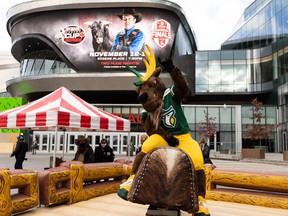 Spike, an Edmonton Elks mascot.  rides during the Official PBR Mechanical Bull Challenge for the 2021 PBR Canada National Finals outside Rogers Place in Edmonton on Friday, November 12, 2021. Photo by Ian Kucerak