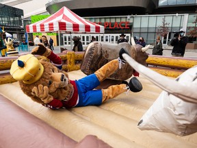 Edmonton Oil Kings Mascot Louie rides during the Official PBR Mechanical Bull Challenge for the 2021 PBR Canada National Finals outside Rogers Place in Edmonton on Friday, November 12, 2021. He won the event buckle.  Photo by Ian Kucerak