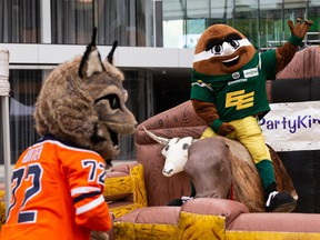 Mascot Punter (Edmonton Elks) receives help from Hunter (Edmonton Oilers) during the official PBR Mechanical Bull Challenge for the 2021 PBR Canada National Finals outside of Rogers Place in Edmonton, Friday, November 12, 2021. Photo by Ian Kucerak