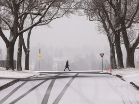 A hiker observes a wintry landscape along Ada Boulevard during Edmonton's first major snow storm of the season, Monday, Nov. 15, 2021. Photo by Ian Kucerak
