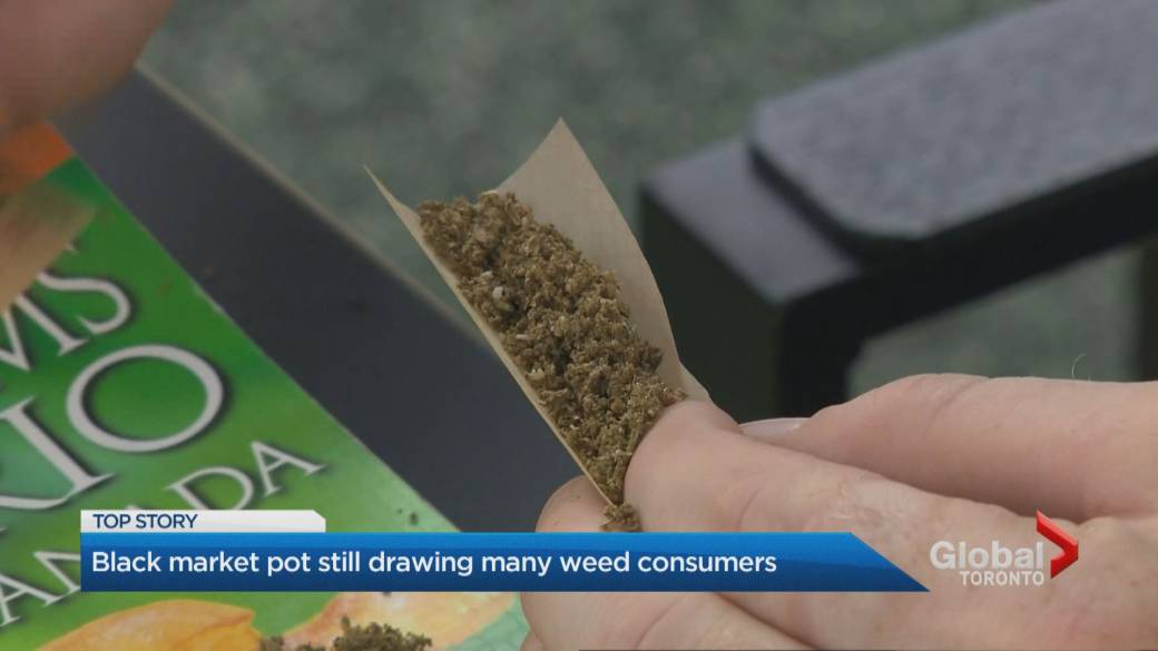 Click to play video: 'The black market continues to attract many cannabis users'