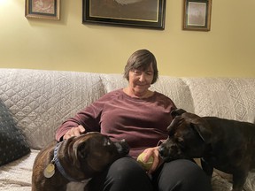 Candida Beauchamp and her 2 Staffordshire Bull Terriers Ari and Brosna.  She is the Ontario Director of the Staffordshire Bull Terrier Club of Canada.