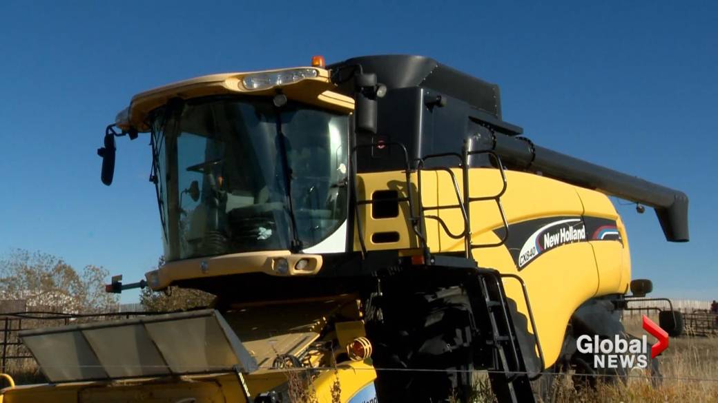 Click to Play Video: 'Low Grain Yields in Alberta Means High Grain Prices Will Continue'