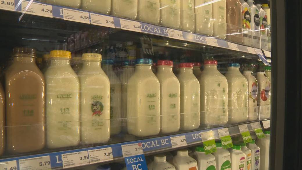 Click to play video: 'Canadian milk, butter and yogurt prices expected to skyrocket in the new year'