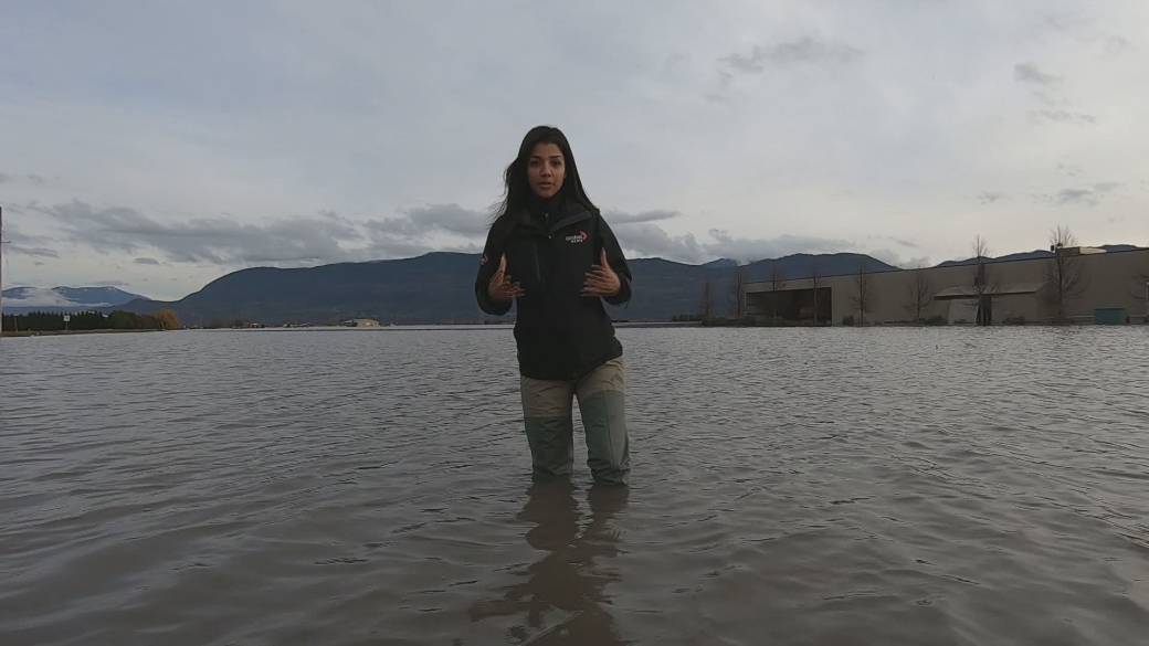 Click to play video: 'Flood Impact on Fraser Valley Farmers'