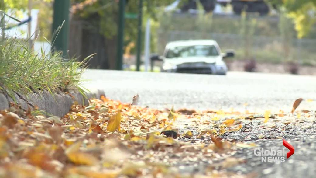 Click to play video: 'Fall Comes to Lethbridge After a Hot, Dry Summer'